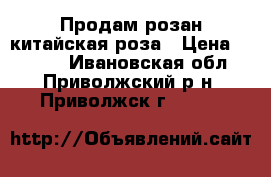  Продам розан китайская роза › Цена ­ 1 500 - Ивановская обл., Приволжский р-н, Приволжск г.  »    